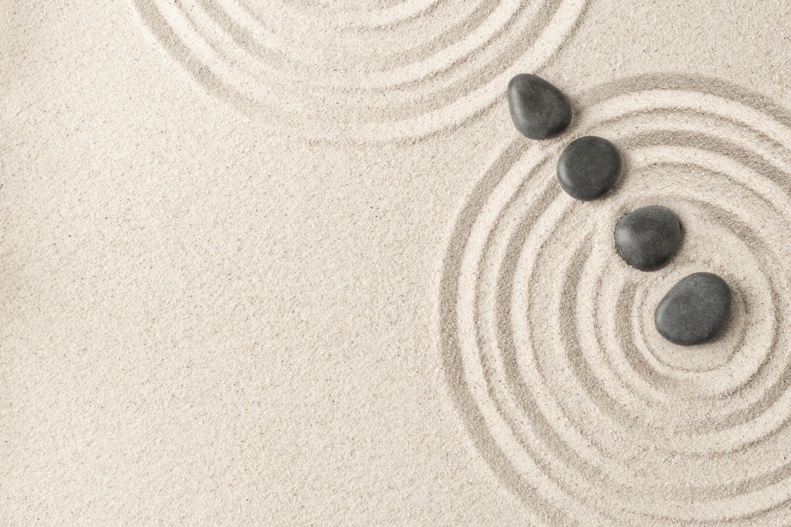 Taking Charge of Your Health After 40: How to Stay Vital and Thrive